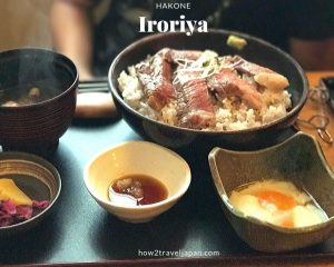 Read more about the article Goro’s Steak Don at Iroriya in Hakone