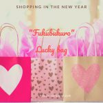 Try your luck in the new year with a Fukubukuro