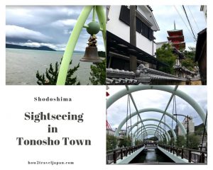Read more about the article The Angel Road and the maze town on Shodoshima