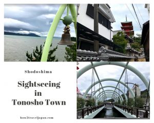 Read more about the article The Angel Road and the maze town on Shodoshima