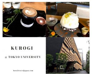 Read more about the article We ate a bowl of shaved ice at the Kuriyakashi Kurogi in the campus of Tokyo University