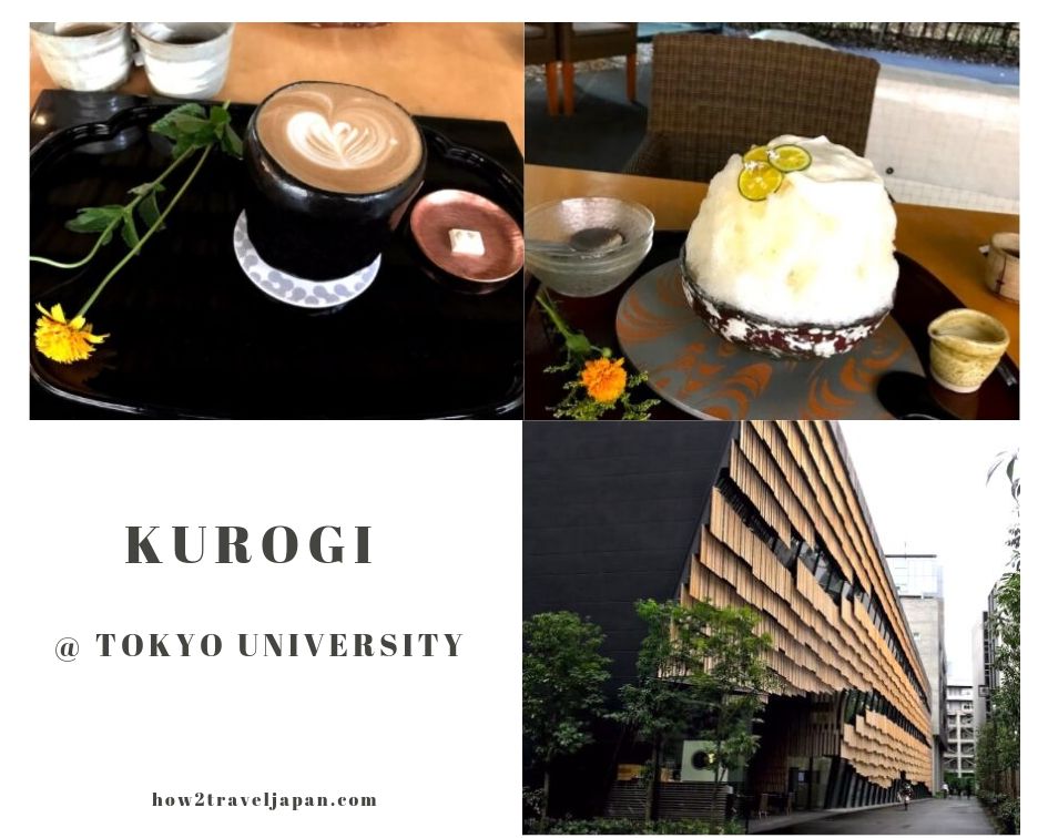 You are currently viewing We ate a bowl of shaved ice at the Kuriyakashi Kurogi in the campus of Tokyo University