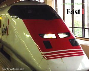 Read more about the article We saw the East i at Omiya station