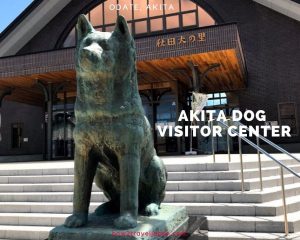 Read more about the article Akita Dog Visitor Center “Akita Inu no Sato” in Odate