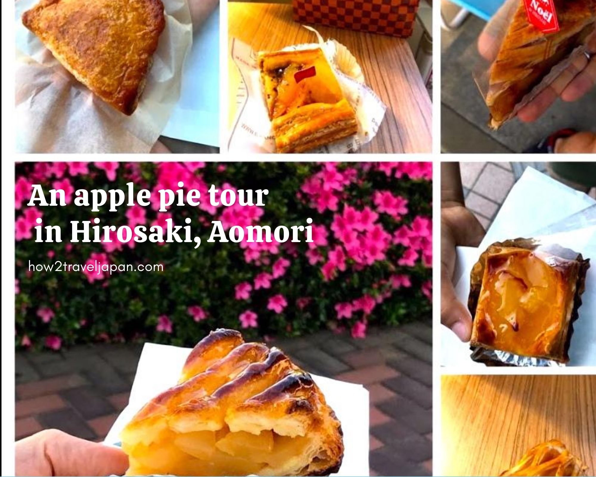 You are currently viewing An apple pie tour in Hirosaki