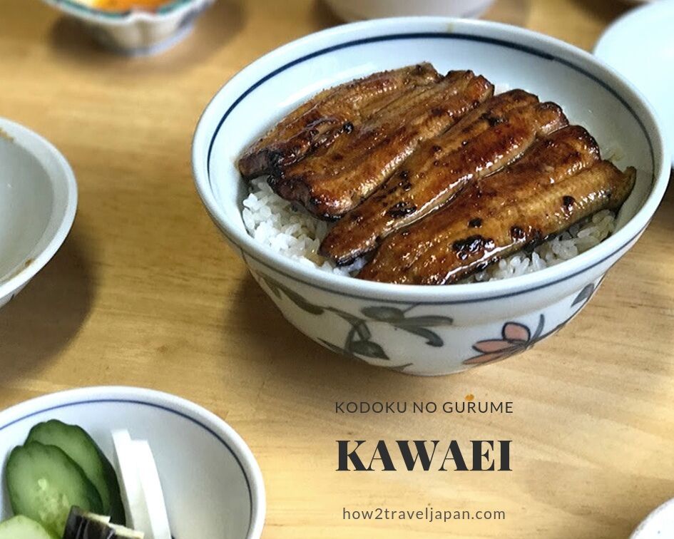 You are currently viewing Goro from Kodoku no Gurume ate a grilled eel rice bowl from Kawaei in Akabane
