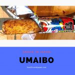 Umaibo Yakitori, our new favourite flavour