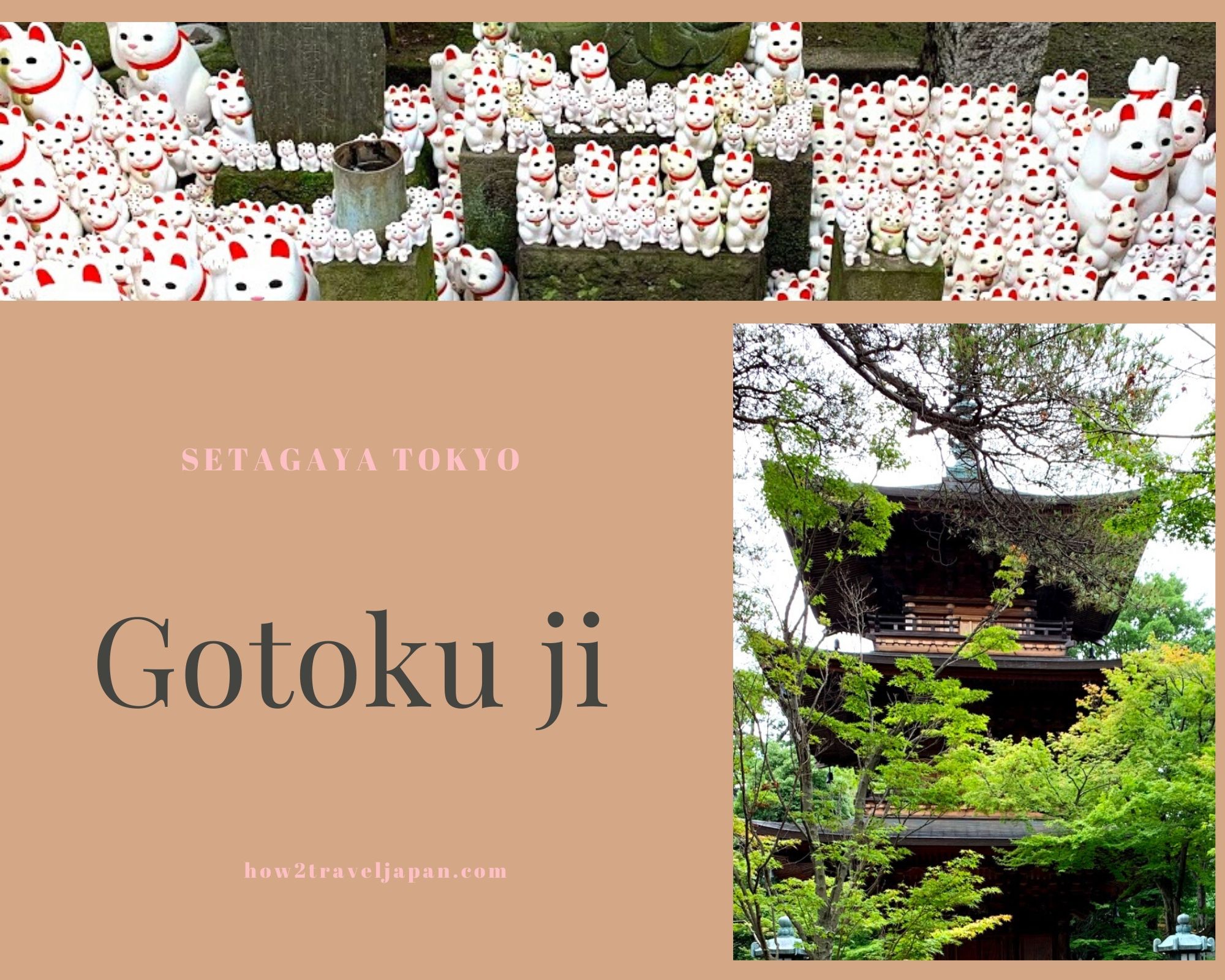 Read more about the article Gotokuji Temple, the birthplace of Maneki Neko
