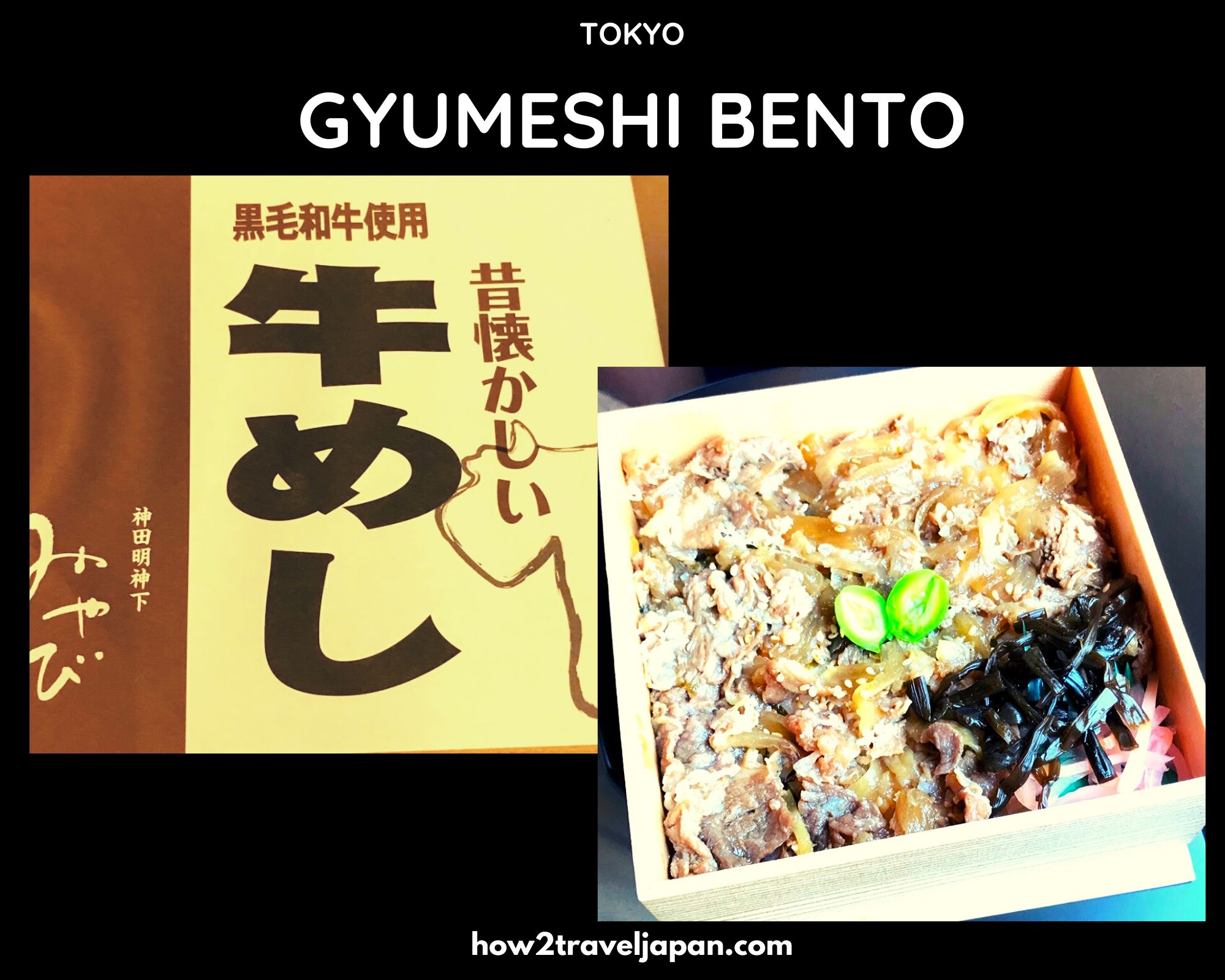 You are currently viewing Gyumeshi Bento from Miyabi in Kanda