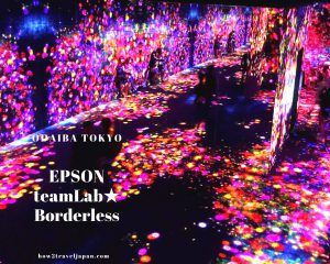Read more about the article Is the teamLab Borderless Tokyo really worth visiting?