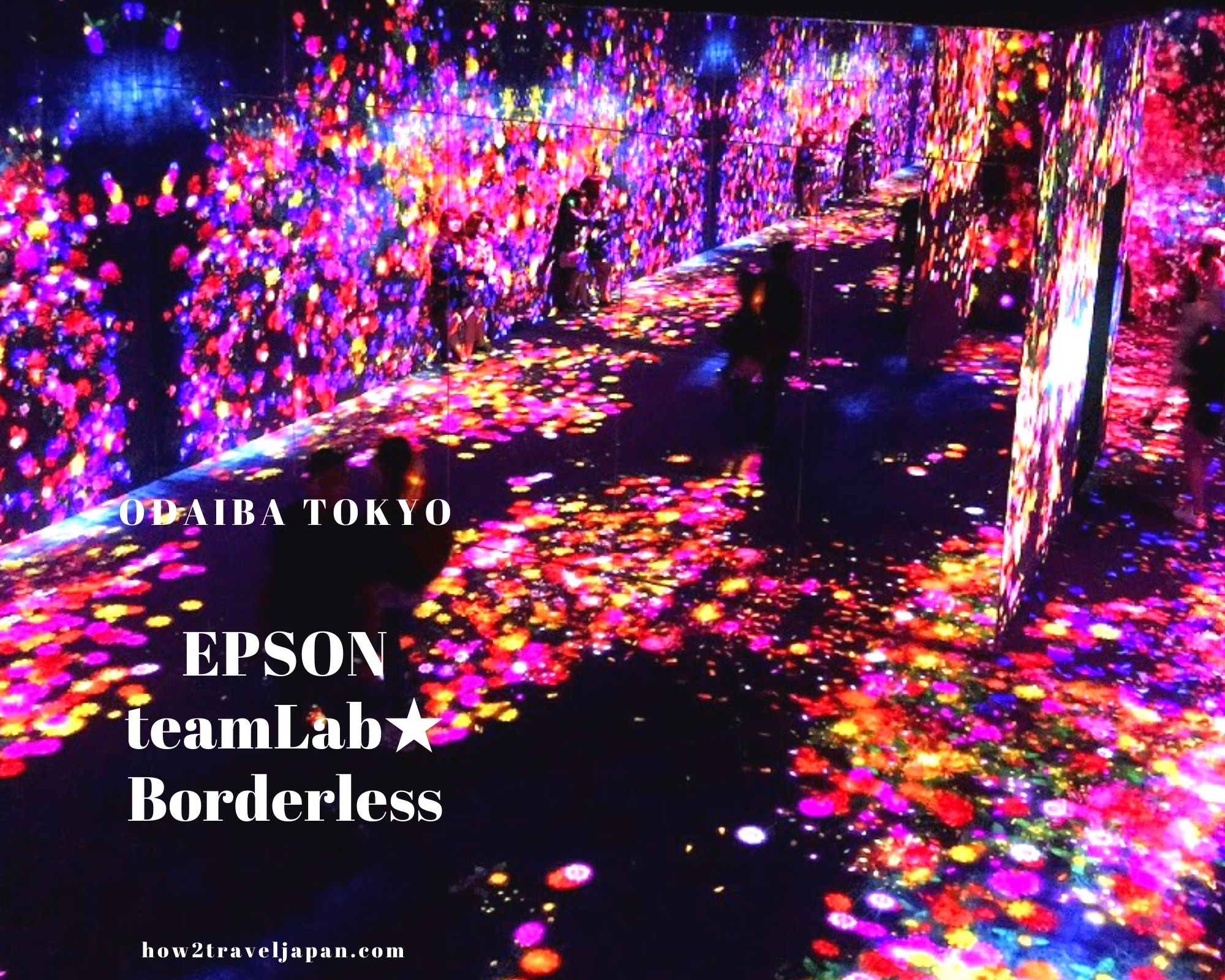 You are currently viewing Is the teamLab Borderless Tokyo really worth visiting?