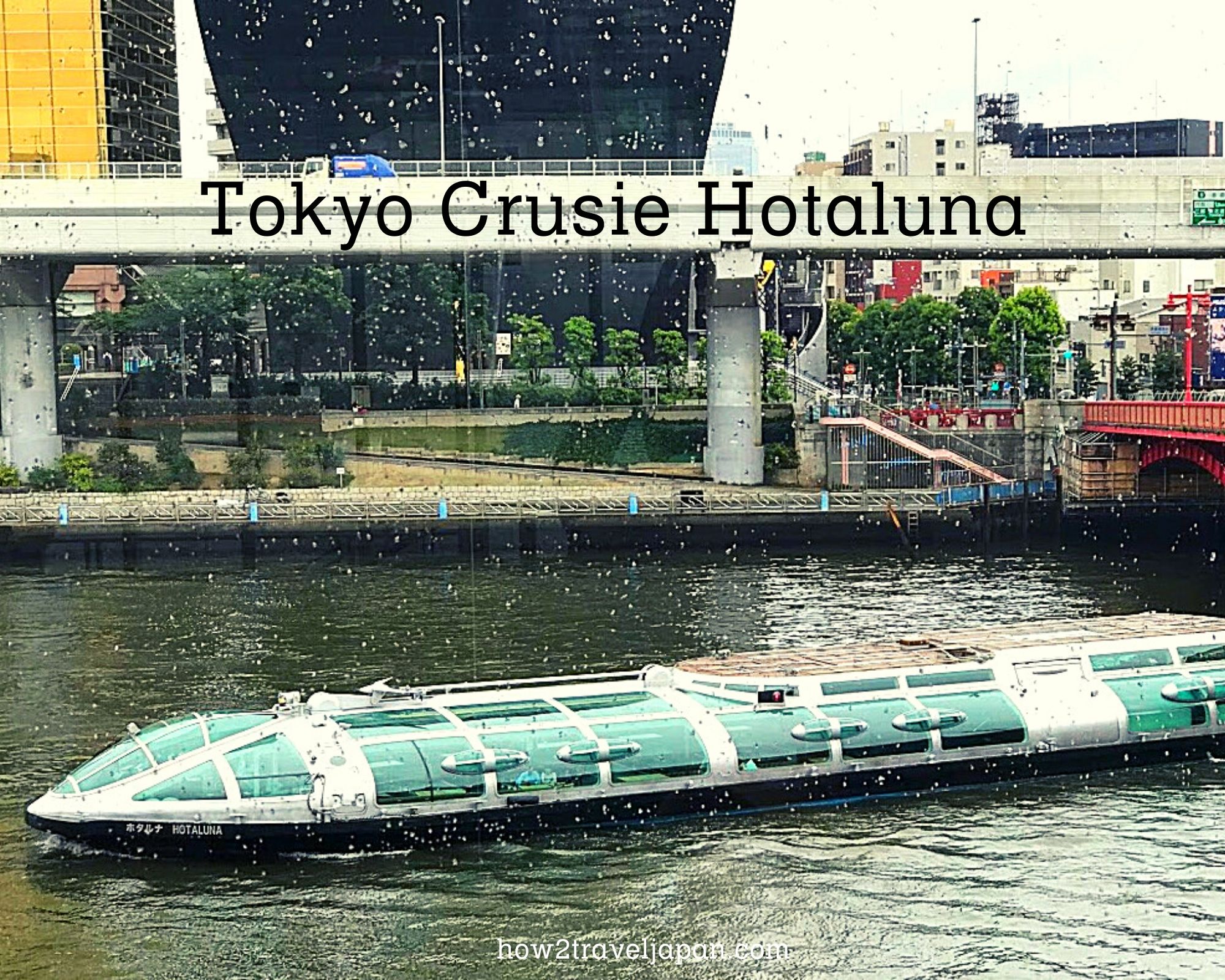 Read more about the article Tokyo Cruise, “Hotaluna”