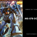 Master Grade MS-07B GOUF