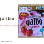 Galbo, chocolate with mixed in strawberry grain from Meiji