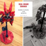 REAL GRADE SINANJU: Not that great 【GUNPLA】