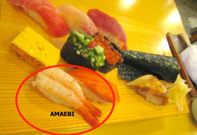 Amaebi