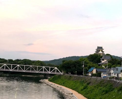 Okayama castle3