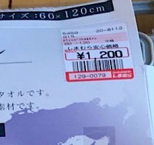 shimamura shimamura