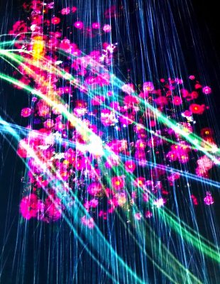 teamLab Borderless4 teamLab Borderless4