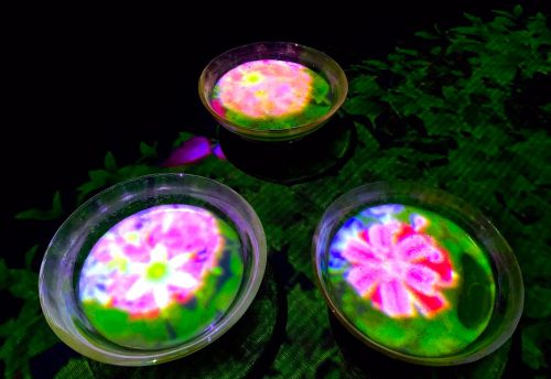 teamLab Borderless7 teamLab Borderless7